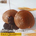 パン 詰め合わせ リッチデニッシュ チョコ 16個入り ロングライフパン 常温保存 長期保存 日持ち 長持ち 送料無料 パン詰め合わせ