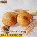 パン 詰め合わせ リッチデニッシュ ミルク+キャラメル 16個入り ロングライフパン 常温保存 長期保存 日持ち 長持ち 送料無料 パン詰め合わせ