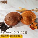 パン 詰め合わせ リッチデニッシュ チョコ+キャラメル 16個入り ロングライフパン 常温保存 長期保存 日持ち 長持ち 送料無料 パン詰め合わせ