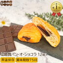 BASE BREAD チョコレート 16袋 30袋入り 完全栄養食 | basefood チョコ パン 栄養食 置き換え ダイエット 食品 オフ 低糖質 食物繊維 葉酸 鉄 分 カルシウム タンパク質 おやつ 全粒粉 間食 送料無料 ベースフード 糖質制限 ベースブレッド