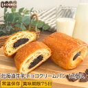 北海道牛乳チョコクリームパン 12個入り ロングライフパン 長期保存 日持ち 長持ち 非常食 防災食 朝食