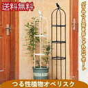 送料無料 スモールオベリスク 150cm 径30mm 花 園芸用品 バラ 薔薇 オベリスクアーチ プランター おしゃれ 園芸用品 植木鉢 植物 鉢 組み立て 支柱 園芸 家庭菜園 送料無料