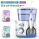 「新入荷!」口腔洗浄器 口腔洗浄機 ジェットウォッシャー 口内洗浄機 ウォーターフロス 家庭 旅行 歯間ジェット洗浄 800ml大容量 ジェットウォッシャー 口腔洗浄器 美容 健康家電 デンタルケア ステインクリーナー