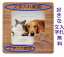 名入れペットフォトフレーム 名入れ ペット 犬 猫 ドッグ キャット 化粧箱付 木製 写真立て 結婚祝い 結婚記念日 クリスマス プレゼント ギフト 贈り物 出産祝い お祝い 母の日 父の日 還暦祝い 敬老の日 長寿祝い 卒業祝い 転勤祝い 退職祝い 位牌 付き合って記念 古希 3,300円