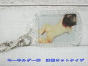 キーホルダー (ナスカンタイプ) アクリルフォト アクリルプリント フォトフレーム ペット メモリアル UV印刷 写真印刷 キーホルダー 赤ちゃん ペット 犬 ...