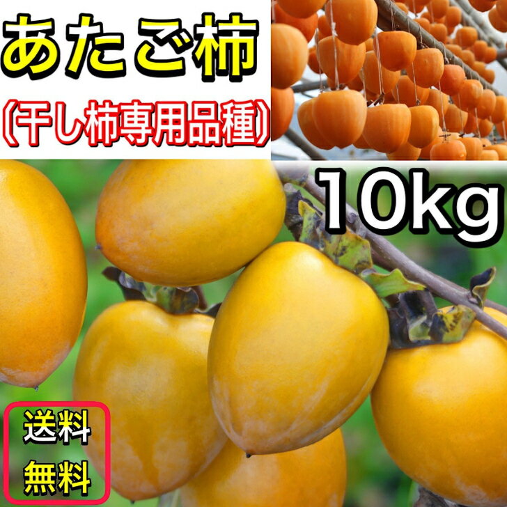 柿 かき あたご柿 (愛宕柿) 愛媛県 丹原産 干し柿 用 渋柿 約 10kg (M〜Sサイズ) 枝付渋柿 干し柿 つるし柿 あんぽ柿 さらし柿用のサムネイル