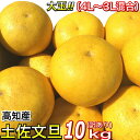 大玉限定 訳あり 土佐文旦 4L 3L サイズ混合 10kg 送料無料 露地土佐文旦 ぶんたん 【訳あり10キロ 4L3L混合 土佐文旦 】2日〜3営業日以内に発送