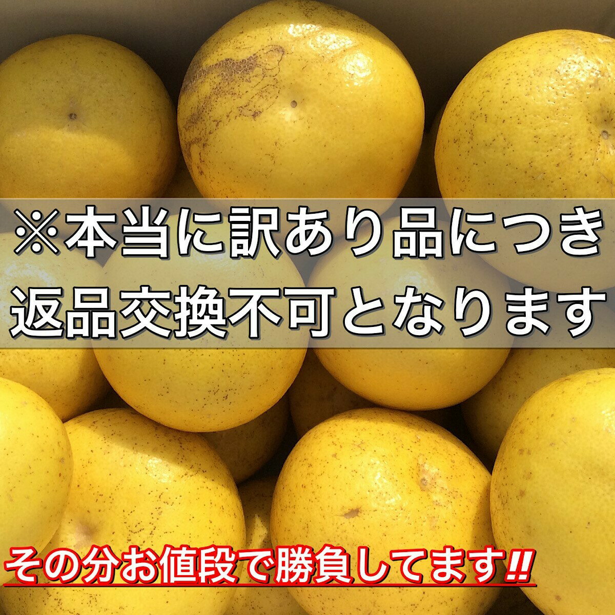 文旦 《本当に訳あり》 土佐文旦 10kg サイズお任せ (約20〜30玉）訳あり 家庭用 高知県産 10キロ ぶんたん（3枚目）