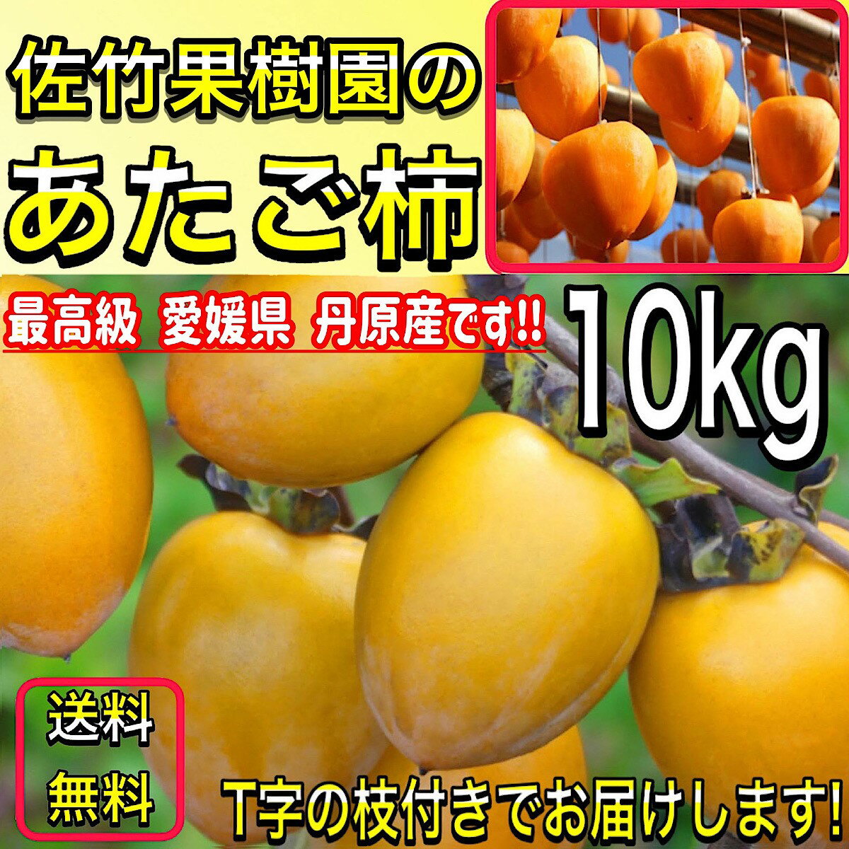 柿 かき あたご柿 【佐竹果樹園のあたご柿】約 10kg 大玉限定 (L〜3Lサイズ混合) 【よさ来い監修】 愛宕柿 愛媛県 丹原産 干し柿 用 渋柿 枝付渋柿 干し柿 つるし柿 あんぽ柿 さらし柿用　【11月中旬から12月中旬までにご注文順に発送】