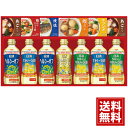 日清ヘルシーオイル&バラエティ調味料ギフト 送料無料 お得 御礼 ギフトお土産 お供え 内祝 ご挨拶 ギフトセット 快気祝 お返し 手土産 プレゼント お返し ...