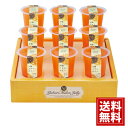 夕張メロンゼリーエスト 送料無料 お得 御礼 ギフトお土産 お供え 内祝 ご挨拶 ギフトセット 快気祝 お返し 手土産 プレゼント お返し お中元