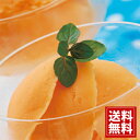 函館牛乳クリーミーなメロンシャーベット 送料無料 お得 御礼 ギフトお土産 お供え 内祝 ご挨拶 ギフトセット 快気祝 お返し 手土産 プレゼント お返し お中...