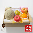 ホシフルーツ おまかせ旬のフルーツ BOX C 【送料無料】 旬 フルーツ 食べ頃 詰合せ 季節のフルーツ 内祝 お返し ギフト お礼 ご挨拶 出産 人気 誕生...