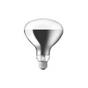 岩崎 アイランプ 屋外投光器用 散光形 110V 200W形 RF110V180WH