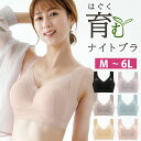 ナイトブラ ノンワイヤー 育乳 ブラジャー バスト ケア ストライプ 脇高 ルームウエア インナーウエア ノンワイヤーブラ ブラトップ 春夏秋冬 かわいい おすすめ