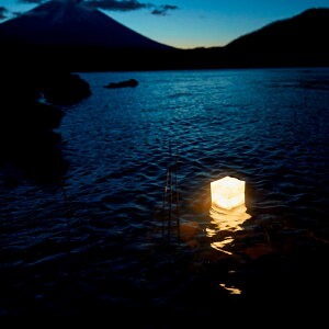 CARRY THE SUN M キャリー ザ サン / Mサイズ ソーラー LED ランタン ライト 防水太陽光 ソーラー充電 最長72時間連続点灯通販格安セール情報 楽天 通販