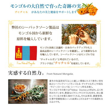 【Cha-cha-lu】 チャチャルソープ 【チャチャル シーバックソーン サジー モンゴル チャチャル化粧品 保湿 洗顔石鹸 石鹸 しっとり 天然由来 オーガニック チャチャルオイル スキンケア】