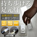 wasser 25 LED センサーライト ホワイト 室内 屋内 廊下 階段 コンセント式 フットライト 足元灯 センサー ライト 人感センサーライト 脱着可能 懐中電灯 ハンディライト 非常灯 (wasser25) 2