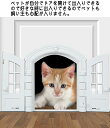 キャットドア 猫ドア 猫扉 ペットドア ペット扉 ペットグッズ ペット用品 ペット用便利グッズ ペットインテリアドア 室内用フレンチキャットドア 室内ドア 屋内...