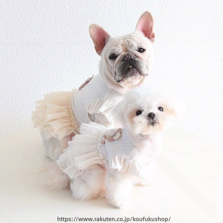 ハロウィン かぼちゃ ペット用品 ペットウェア ペット服 オレンジ リボン 犬 猫 飾り サロン トリマー オススメ パンプキン 帽子 ケープ フリース あったかい 柔らかい 人気 ダックス プードル かわいい 犬の服 秋 冬 プレゼント インスタ パーティ チョーカー SSサイズ 業務用 可愛い コスプレ ウィッグ付き マント ロリータ 貴族 小型犬 ワンピース 洋服 短納期 魔法使い パーティー 女の子 男の子 変身 スパイダー ドッグウェア 夏 送料無料 涼しい 王様 王子様 S M L XL 3点セット カッコイイ おもしろい 仮装 衣装 犬猫 中型犬 大型犬 魔女 変身 おもしろグッズ クリスマス イベント 写真撮影 つなぎ コウモリ パーカー アウター コート XS〜XLサイズ ドッグ服 猫服 変身 耳付き 着ぐるみ 撮影 チュールワンピ お化け 猫用 超絶キュン 首輪 ネクタイ バンダナ ガーランド 誕生日 しつけ首輪 痛くない 猫の首輪 着せ替え 襟かざり 首かざり かぶり物 サンタ デニム 服 デニムスカート 小型犬 中型犬 大型犬 Tシャツ フード付き パーカー 裏起毛 オールシーズン ギフト ハンガー 春 夏 秋 冬 定番 おしゃれ 可愛い 柴犬 お洋服 ペットグッズ かわいい お散歩 お出かけ 室内 防風 保温 お揃い 洗える 暖かい ペットベッド ペットソファ クッション マット 滑り止め もこもこ ふかふか 通気性抜群 寝心地いい 破れにくい 四季通用 軽量 脱着簡単 丈夫 安全 .結婚式 用 犬 服 ドレス は フレンチブルドッグ や 英ブルドッグ、パグ、コーギー、ブルドッグ に 対応 し ロマンチック な デザイン が 特徴 です。ガーフィールド テーマ で おしゃれ に 演出 します。。 指定された配送時間は承っておりません。【考福ショップ】