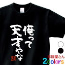 おもしろtシャツ 漢字 文字「俺って天才やな」メッセージTシャツ ティーシャツ ギフト プレゼント ka300-08 KOUFUKUYAブランド 送料込 送料無...