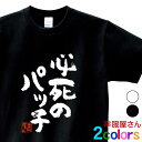 おもしろtシャツ 漢字 文字「必死のパッチ」メッセージTシャツ ティーシャツ ギフト プレゼント ka300-10 KOUFUKUYAブランド 送料込 送..