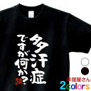 おもしろtシャツ 漢字 文字「多汗症ですが何か?」メッセージTシャツ ティーシャツ ギフト プレゼント ka300-33 KOUFUKUYAブランド 送料込 送...