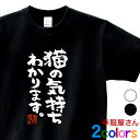 猫 服 おもしろtシャツ 漢字 文字「猫の気持ちわかります。」ティーシャツ ギフト プレゼント ka300-64 KOUFUKUYAブランド 送料込 送料無料