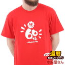 還暦祝い メッセージtシャツ プレゼント Tシャツ 「60th 筆文字」 ms29 60歳 還暦お祝い レッド 父 母 おもしろ tシャツ ネタtシャツ 文字tシャツ 半袖 名言 格言 語録 男女兼用 オールシーズン 綿100％ 幸服屋さん KOUFUKUYA 140cm-160cm/S-XL 送料込 送料無料