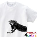 イグアナTシャツ 男女兼用 オールシーズン 綿100%、半袖 全4色 140cm-160cm/S-XL(am13) 送料込 送料無料