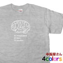 エントリーでP10倍_5/9(木)20時～ KOUFUKUYA おもしろ元気ハツラツ「brain（脳）」Tシャツ 男女兼用 オールシーズン 全4色 140cm-160cm/S-XL os27 送料込 送料無料