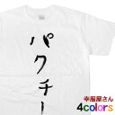 KOUFUKUYA 「パクチー」Tシャツ 男女兼用 オールシーズン 全4色 140cm-160cm/S-XL kk07 送料込 送料無料