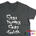 おもしろTシャツ Tシャツ 半袖 Vネック スティーブジョブズ 名言 「Stay hungry,Stay foolish.」 英語 英語メッセージ 当店オリジナル プリントTシャツ ギフト プレゼント v-ms33 送料込 送料無料