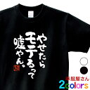 おもしろ tシャツ 漢字 文字 メッセージtシャツ 「 やせたらモテるって嘘やん。 」 ka400-41 ネタtシャツおもしろtシャツ tee おもしろ雑貨 名...