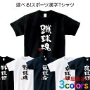 tシャツ メンズ スポーツ 漢字 Tシャツ 野球 卓球 排球 蹴球 籠球 庭球 水球 送球 tシャツ 文字tシャツ 日本 お土産 漢字 おもしろ Tシャツ ka66 KOUFUKUYAブランド 送料込 送料無料