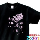 和柄Tシャツ「桜(さくら)」 Tシャツ お土産 海外 メンズ・レディーズ MEN'S ティーシャツ FW01 KOUFUKUYAブランド 送料込 送料無料