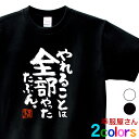 合格祈願 「 やれることは 全部やった たぶん。 」高校受験 大学受験 tシャツ 受験対策 試験対策 願掛け お守り ホワイト/ブラック 140cm-160cm/S-XL ka500-14 KOUFUKUYA 幸服屋さん 送料無料 送料込み