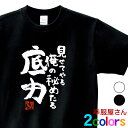合格祈願 「 見せてやる俺の秘めたる底力 」高校受験 大学受験 tシャツ 受験対策 試験対策 願掛け お守り おもしろ Tシャツ 漢字 和柄 綿100% ホワイト/ブラック 140cm-160cm/S-XL ka500-18 KOUFUKUYA 幸服屋さん 送料無料 送料込み