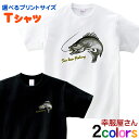シーバス Tシャツ rf18 海釣り ルアー釣り スズキ フィッシング 釣り好き 釣り人 誕生日 父の日 敬老の日 ギフト プレゼント 男女兼用 オールシーズン 綿100% KOUFUKUYA 幸服屋さん 送料無料 送料込み