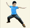 【メール便対応!】【太極拳】カッコイイ中国武術デザインTシャツ!練習には武術らしい動きやすいTシャツが一番!武術中式児童Tシャツ