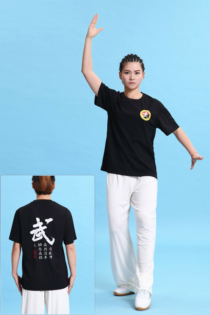 【メール便対応！】【太極拳】カッコイイ中国武術デザインTシャ