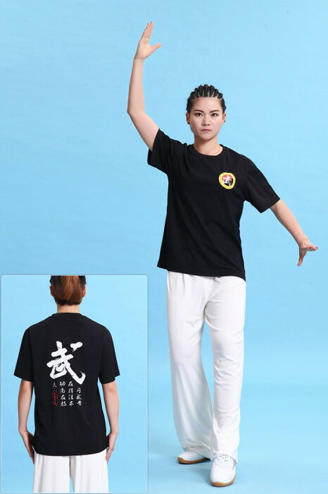 【レターパック360対応！】【太極拳】カッコイイ中国武術デザインTシャツ！練習には武術らしい動きやすいTシャツが一番！武術Tシャツ