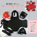 散打護具5点セット