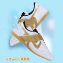 テコンドー練習靴