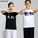 【メール便対応!】【太極拳】練習には武術らしい動きやすいTシャツが一番!陳家溝太極拳Tシャツ(4)