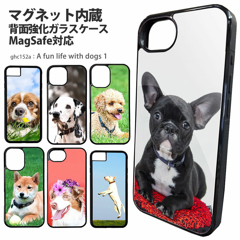 スマホケース 背面ガラス iPhone 17 iPhone 16e SE 第3世代 バンパーケース 強化ガラス MagSafe マグネット内臓 iPhone15 SE 第2世代 アイフォン デザイン 犬 フォト A fun life with dogs いぬ好き犬派 ダルメシアン 柴犬 トイプードル フレンチブルドッグ