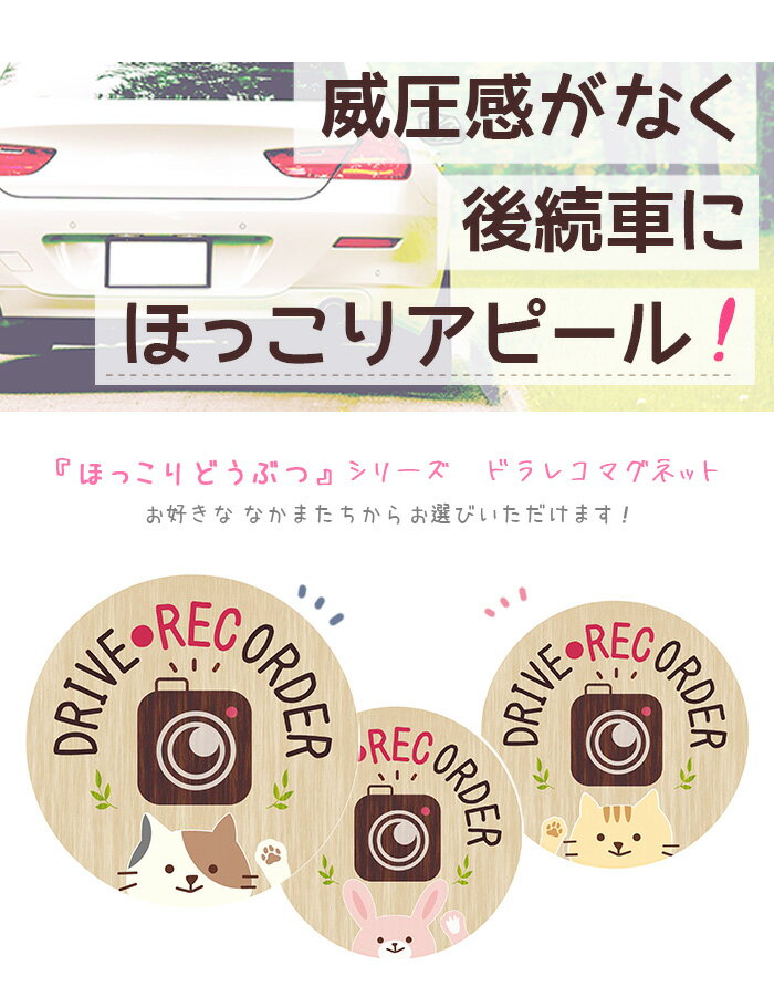 ドラレコ ステッカー かわいい ミニ マグネットステッカー おしゃれ ドライブレコーダー 録画中 マグネット 磁石 防犯 あおり対策 デザイン アニマル 動物 どうぶつ ネコ 普通郵便発送 受注生産品