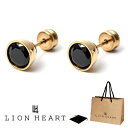 ピアス ライオンハート LION HEART 2点セット 両耳用 スタッド ピアス LHMP002 LHMP002NYB ステンレス 316L サージカルステン...