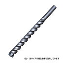 ミヤナガ デルタゴンビット振動用ネジ DLS110 【何個でも送料据え置き!】