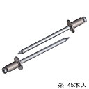 エビブラインドリベット (丸頭)NSA56MP 【何個でも送料据え置き!】(4)